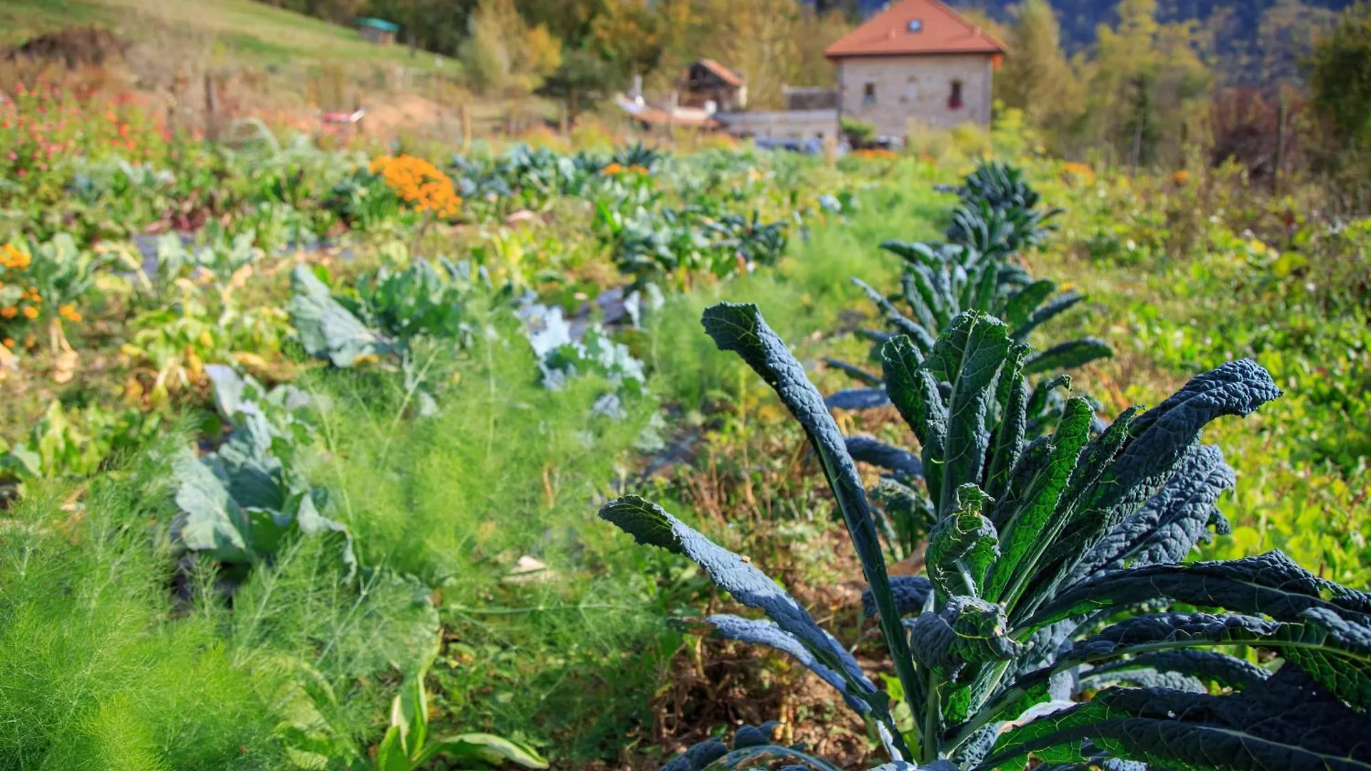 Bauernhof Agriturismo Fattoria Ortoalpino Trichiana Italien