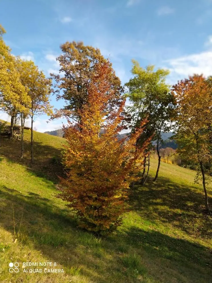 Agriturismo Fattoria Ortoalpino Trichiana