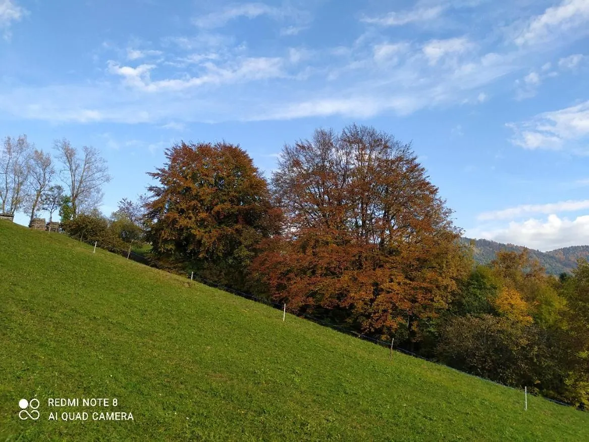 Agriturismo Fattoria Ortoalpino Trichiana