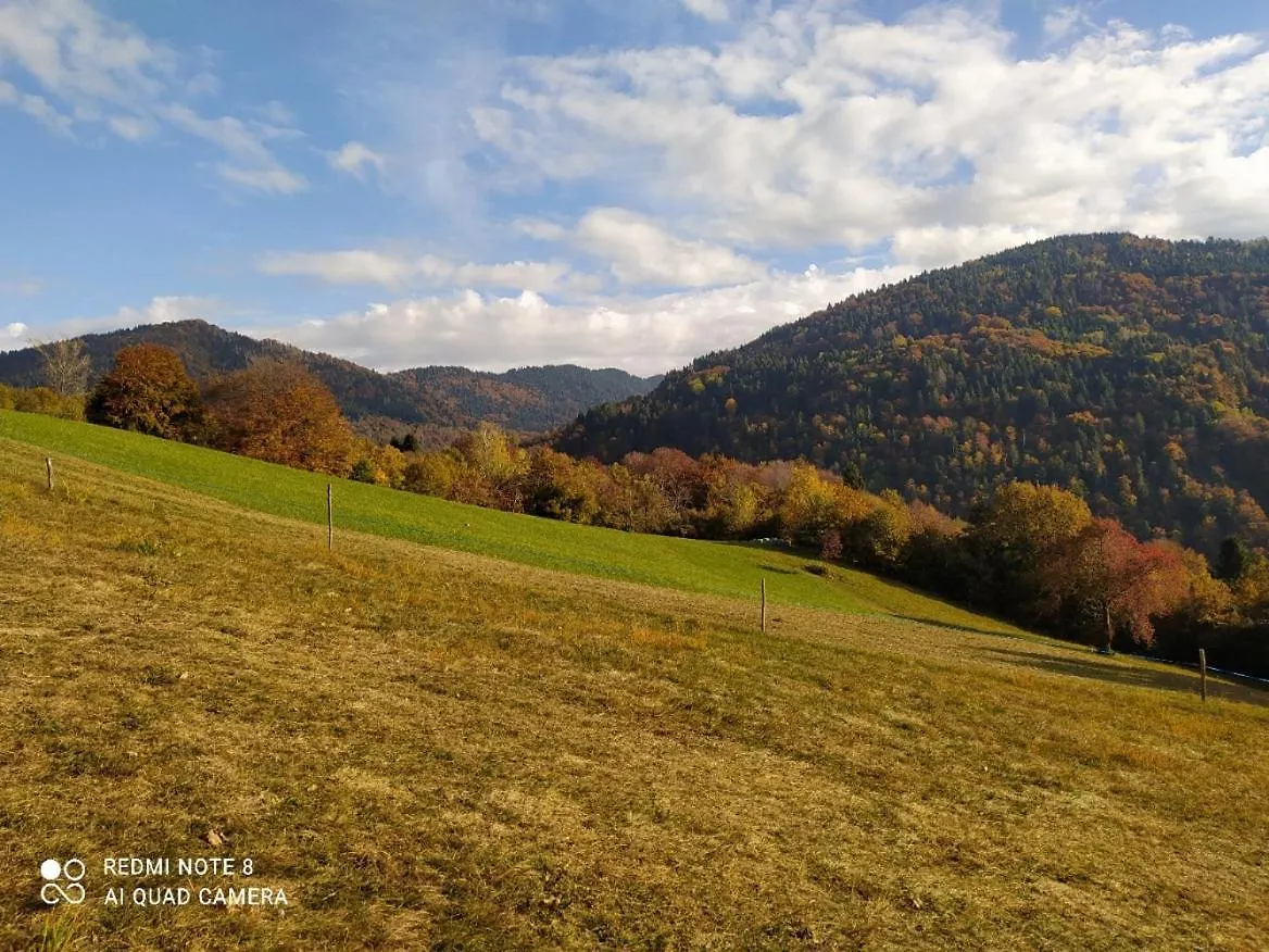 Alloggio per agriturismo Agriturismo Fattoria Ortoalpino Trichiana Italia