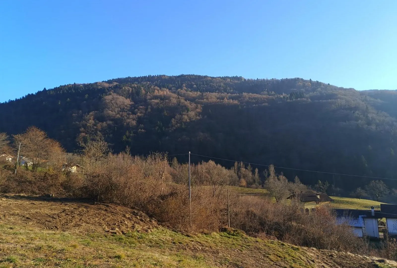 Agriturismo Fattoria Ortoalpino Trichiana Bauernhof