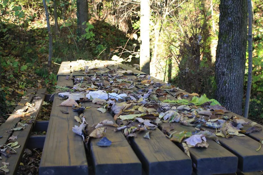 Agriturismo Fattoria Ortoalpino Trichiana 0*,
